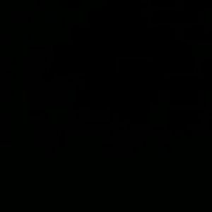 Meet your Posher, Isidra